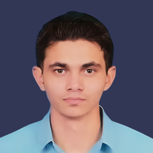 Muhammad - Verified Mentor at Emergi Mentors
