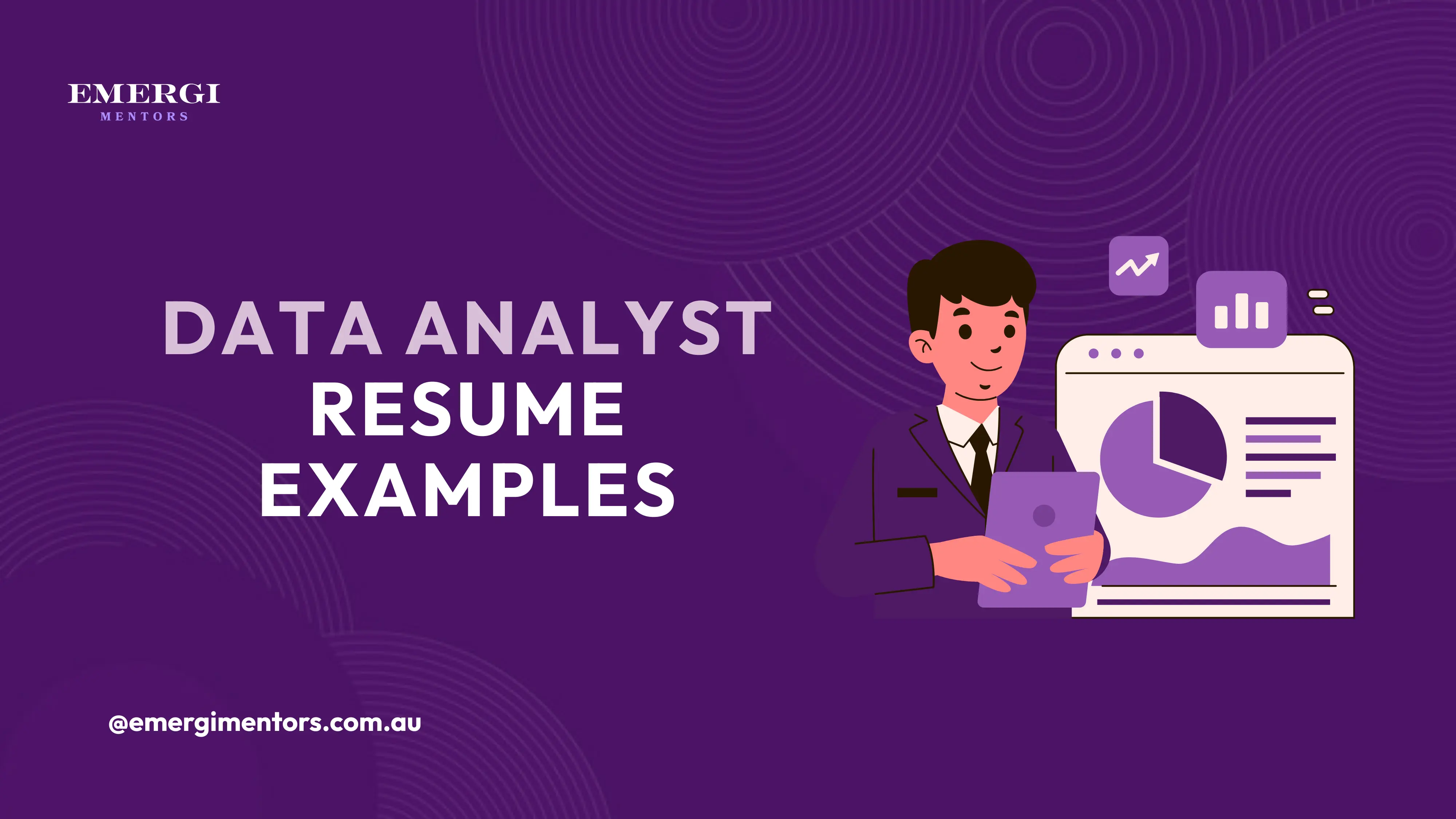 Data Analyst Resume Example
