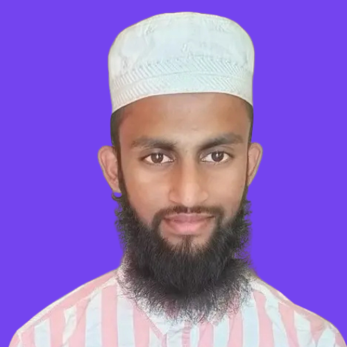 Shaik - Verified Mentor at Emergi Mentors